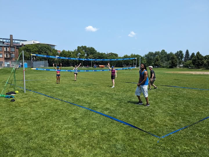 A volleyball game set up on a grass field in the neighbourhood